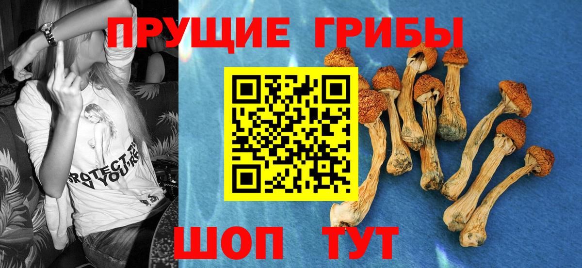 Галлюциногенные грибы GOLDEN TEACHER  Псилоцибиновые грибы GOLDEN TEACHER  Люберцы  Вход с VPN 