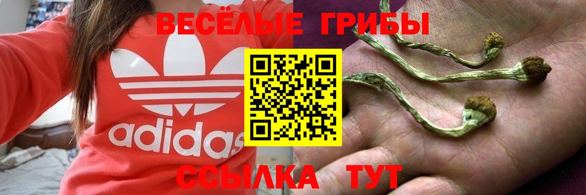 Галлюциногенные грибы мицелий Люберцы